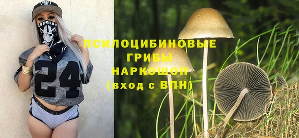 эйфоретик Алексин
